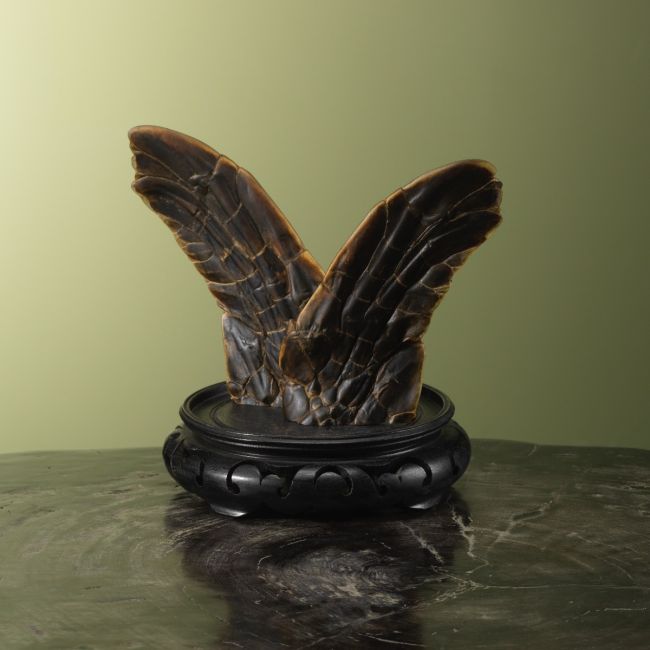 3723 Flippers Zeeschildpad