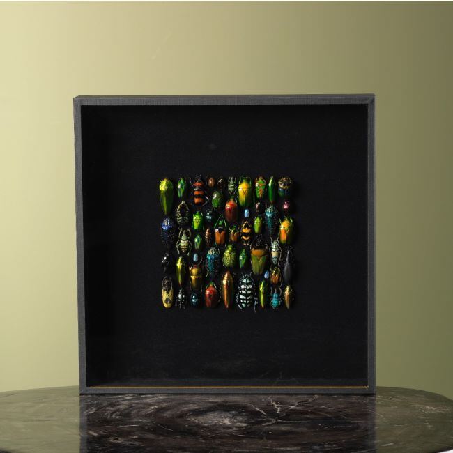 3981 Kevers in Lijst