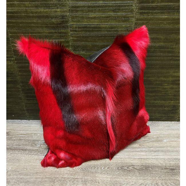 DL_KUSSEN SPRINGBOK 1.1