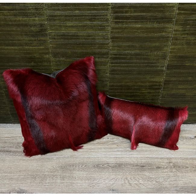 DL_KUSSEN SPRINGBOK 6.1