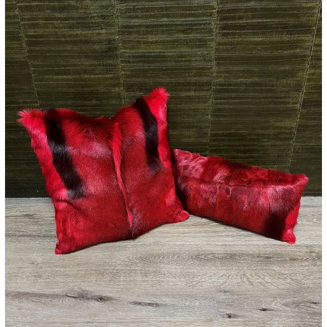 DL_KUSSEN SPRINGBOK 7.1